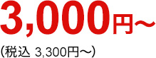 3,000円（税込3,300円）